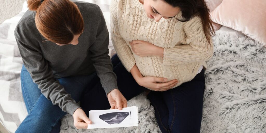 idaho adoption plan